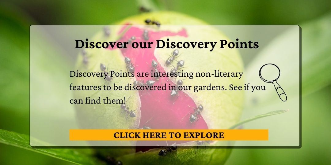 Click here for discovery points.