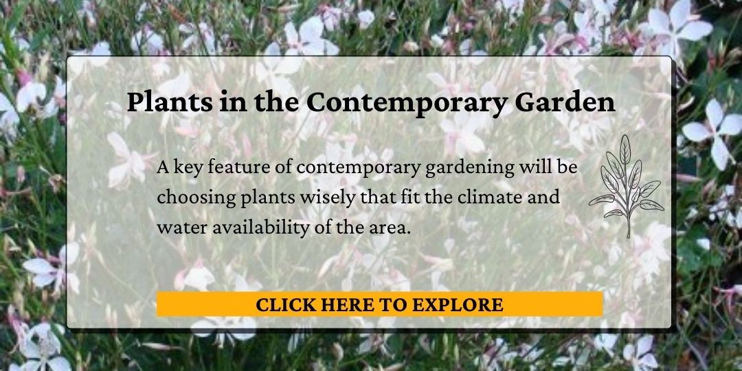 Click here for plants in the Contemporary Garden