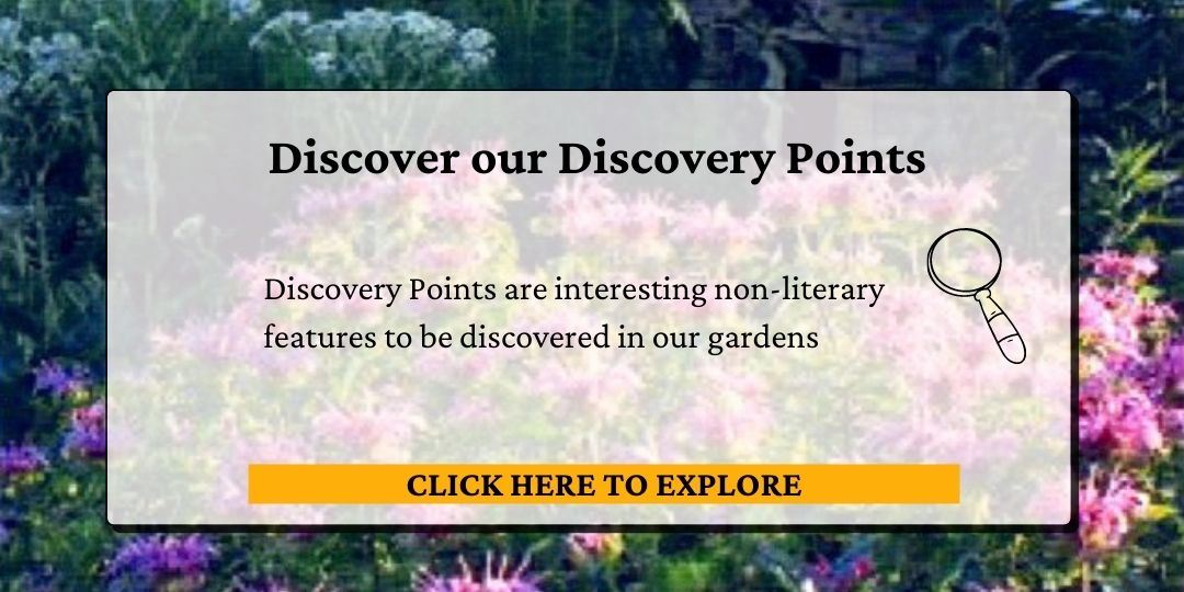 Click here to read our discovery points
