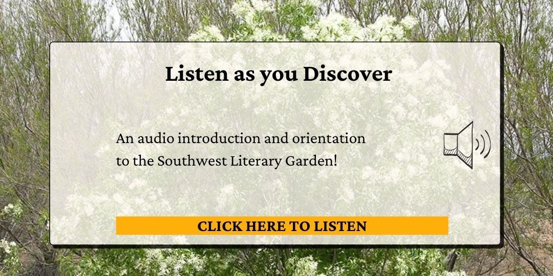 Click here to listen as you discover.