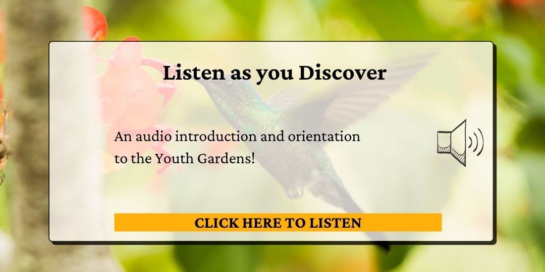 Click here to listen as you discover. 